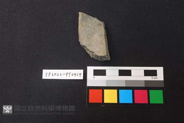 陶片藏品圖，第2張