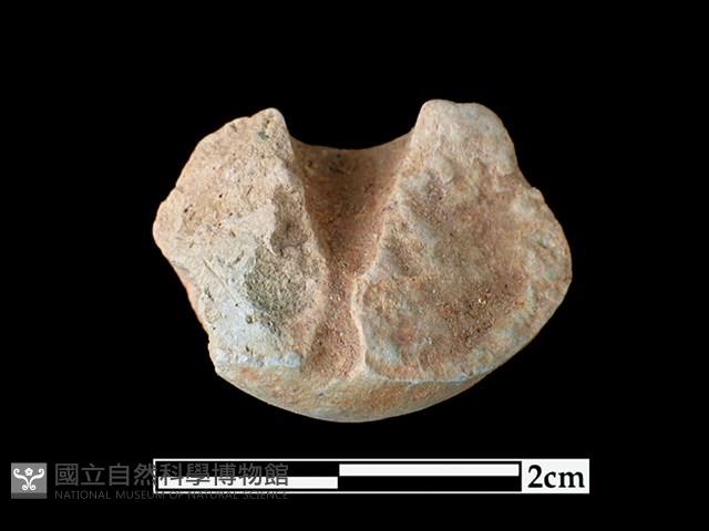 陶紡輪藏品圖，第2張