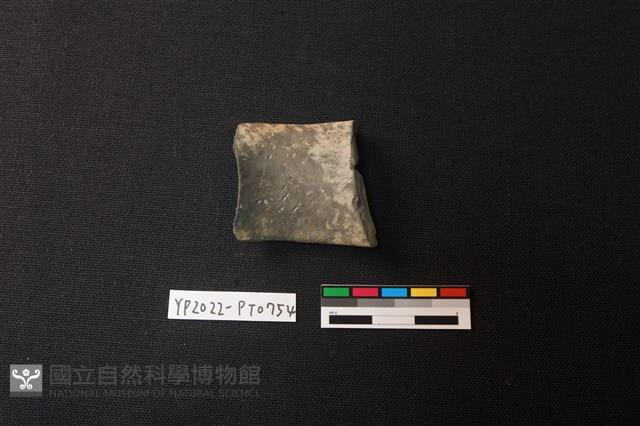 陶片藏品圖，第2張