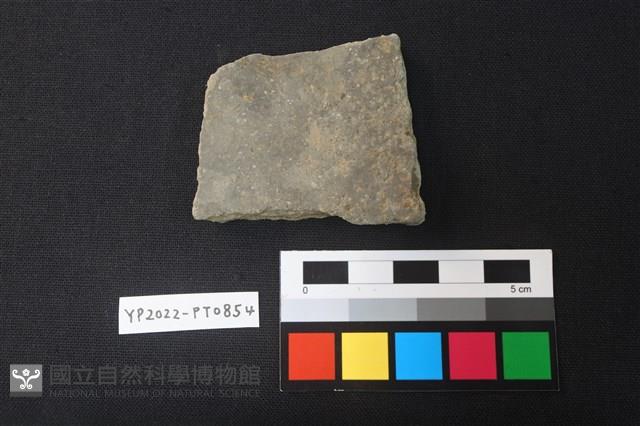 陶片藏品圖，第2張