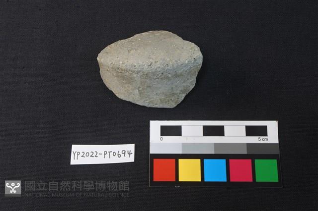 陶片藏品圖，第2張