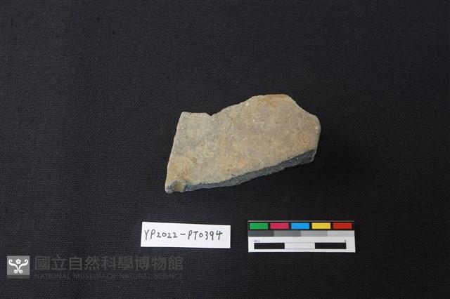 陶片藏品圖，第2張