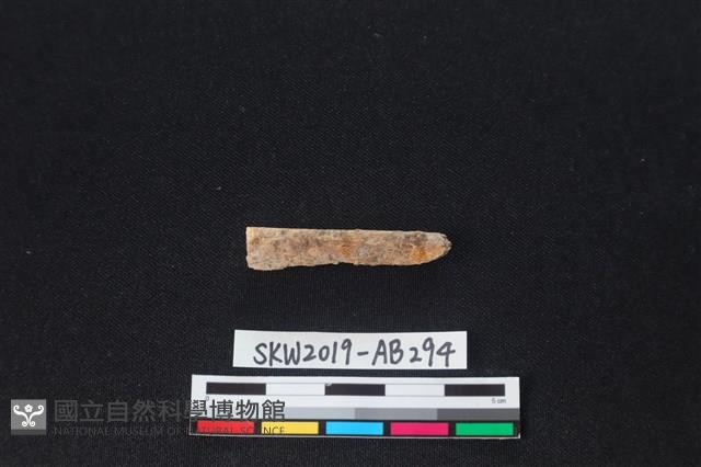 獸骨藏品圖，第2張