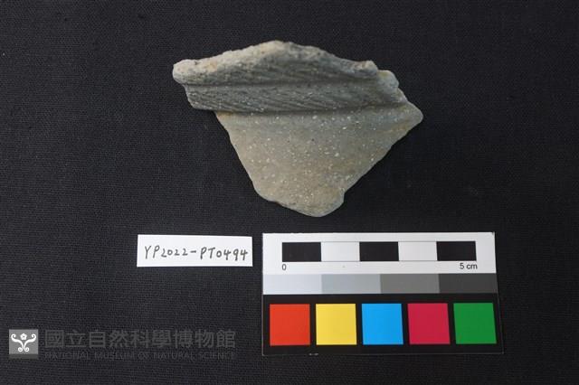 陶片藏品圖，第2張
