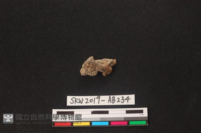 獸骨藏品圖，第2張