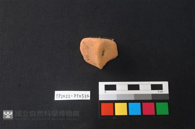 陶片藏品圖，第2張