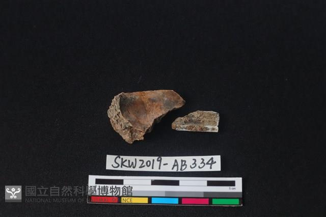 獸骨藏品圖，第2張