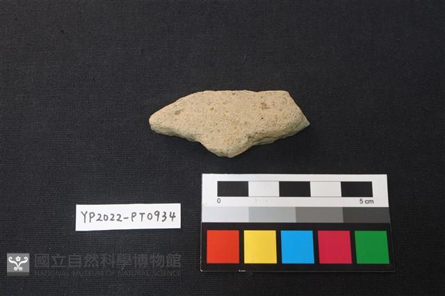 陶片藏品圖，第2張