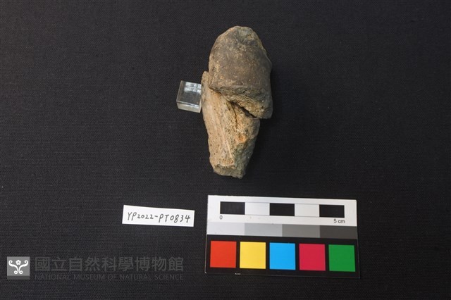 陶鈕藏品圖，第2張