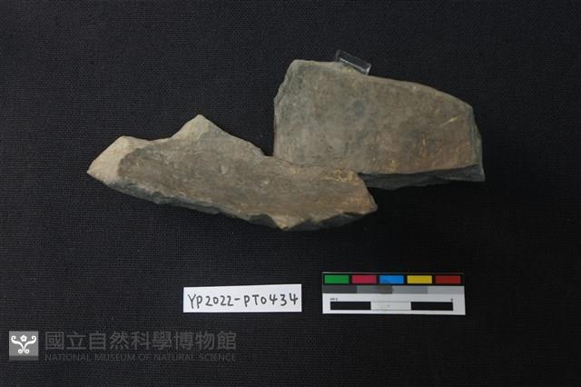 陶片藏品圖，第2張