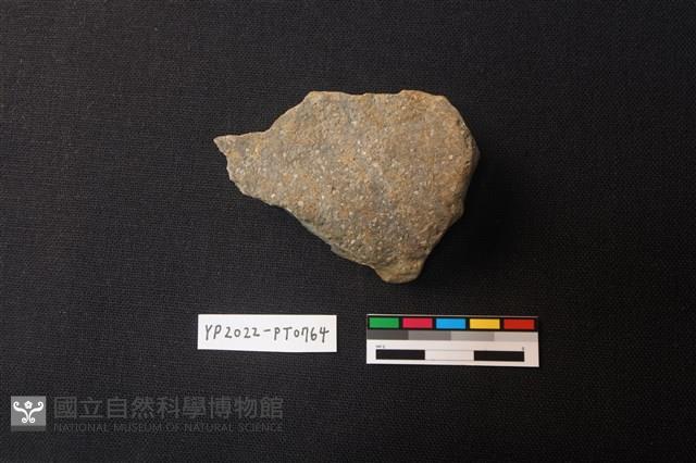 陶片藏品圖，第2張