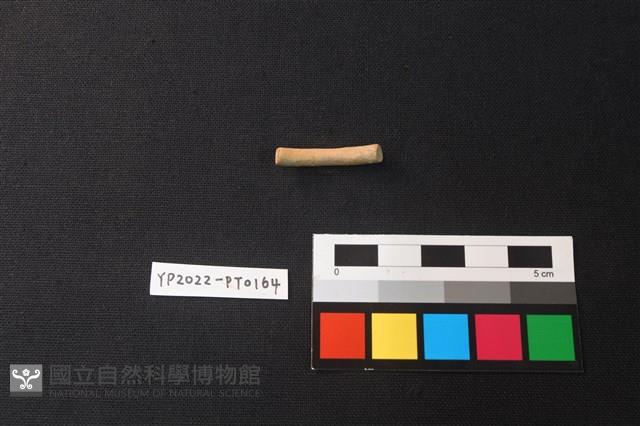 陶環藏品圖，第2張
