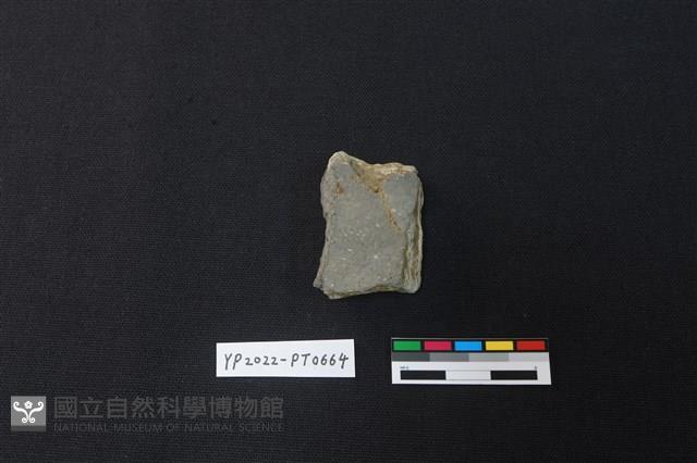 陶片藏品圖，第2張
