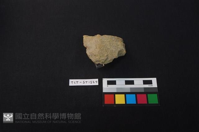 斧鋤形器藏品圖，第2張