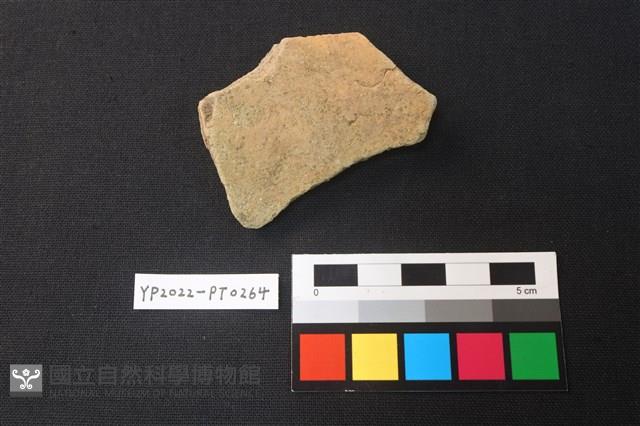 陶片藏品圖，第2張
