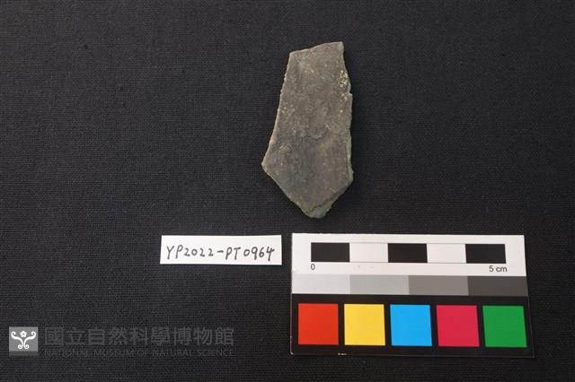 陶片藏品圖，第2張