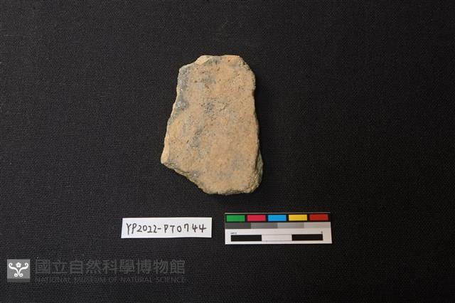 陶片藏品圖，第2張