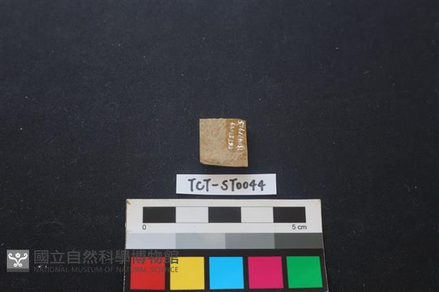 錛鑿形器藏品圖，第2張