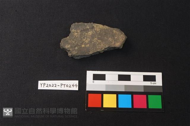 陶片藏品圖，第2張