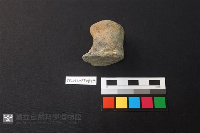 陶鈕藏品圖，第2張