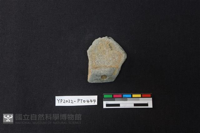 陶片藏品圖，第2張