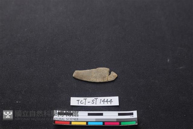 磨製石器藏品圖，第2張