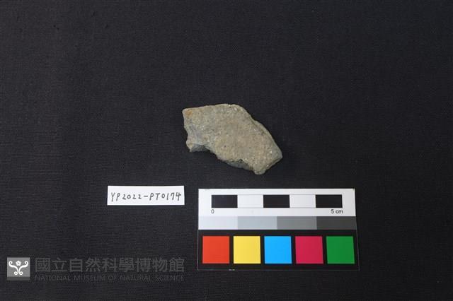 陶片藏品圖，第2張