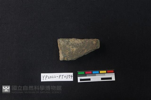 陶片藏品圖，第2張