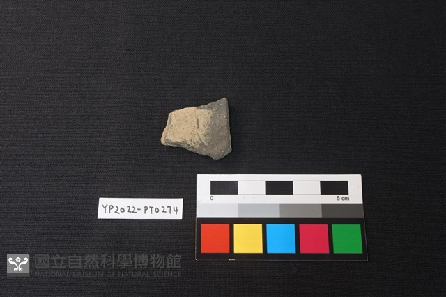 陶片藏品圖，第2張