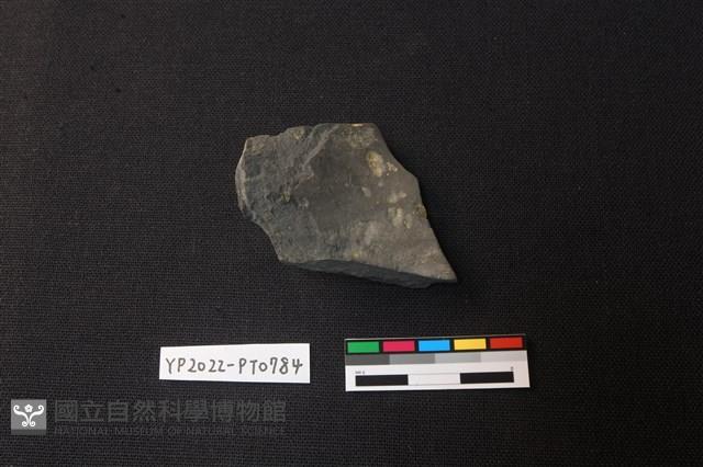 陶片藏品圖，第2張