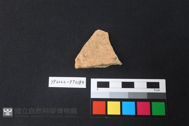 陶片藏品圖，第2張