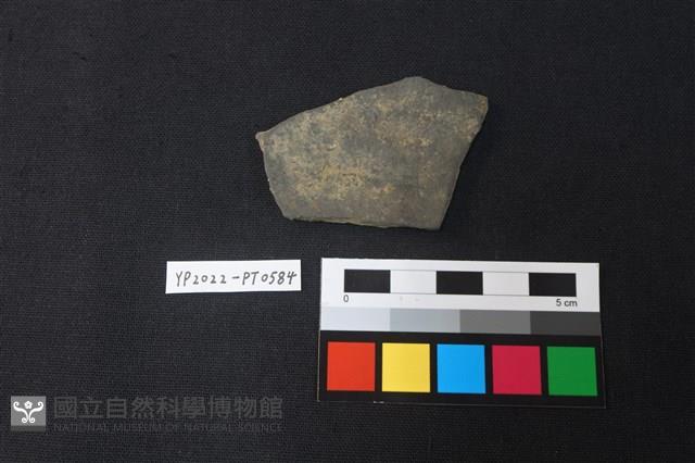 陶片藏品圖，第2張