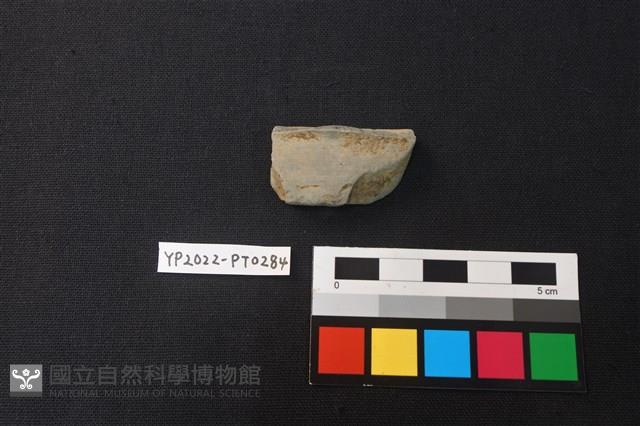 陶片藏品圖，第2張