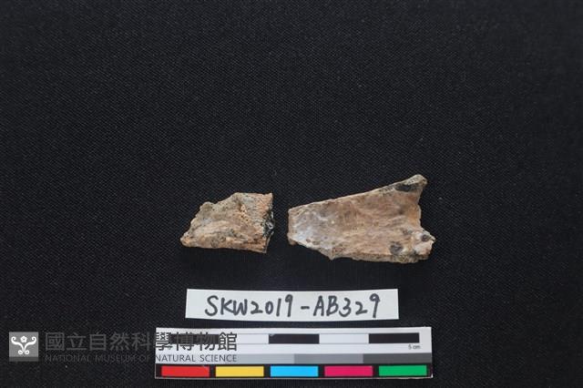 獸骨藏品圖，第2張