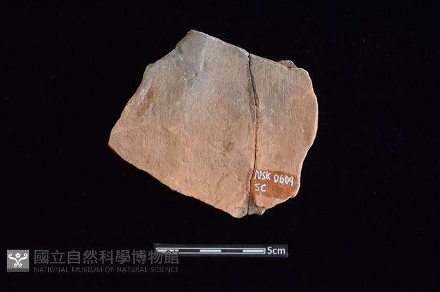 陶片藏品圖，第2張