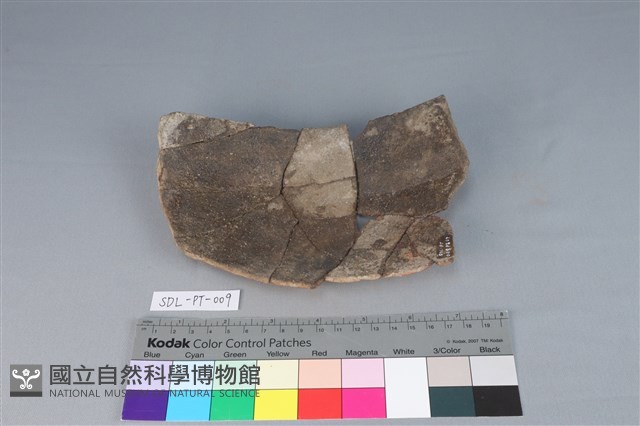 陶缸藏品圖，第2張