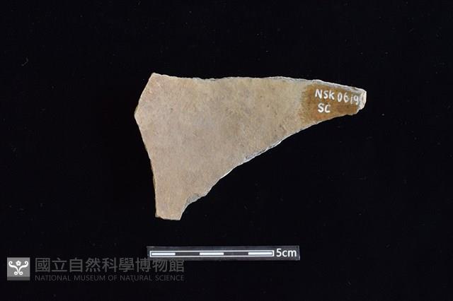 陶片藏品圖，第2張