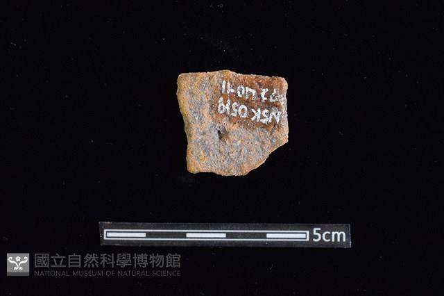 陶片藏品圖，第2張