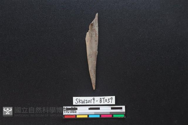 骨尖器藏品圖，第2張