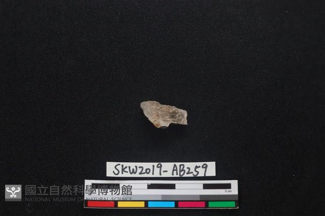 獸骨藏品圖，第2張