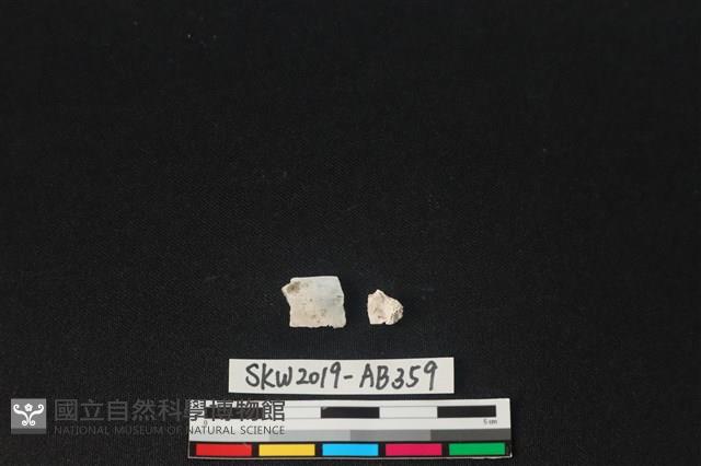 獸骨藏品圖，第2張