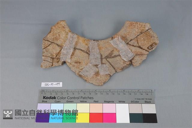 陶罐藏品圖，第2張