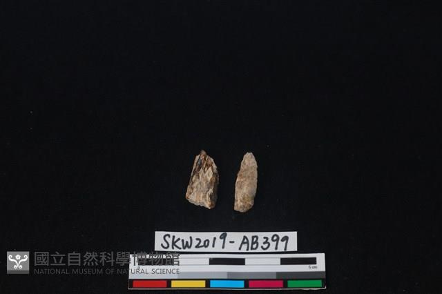 獸骨藏品圖，第2張