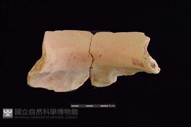 陶罐藏品圖，第2張