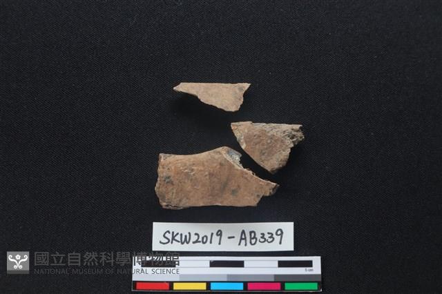 獸骨藏品圖，第2張