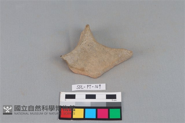 連杯形器藏品圖，第2張