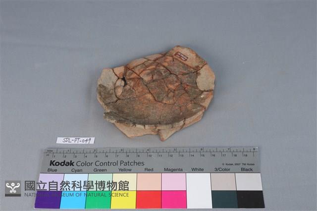 陶罐藏品圖，第2張