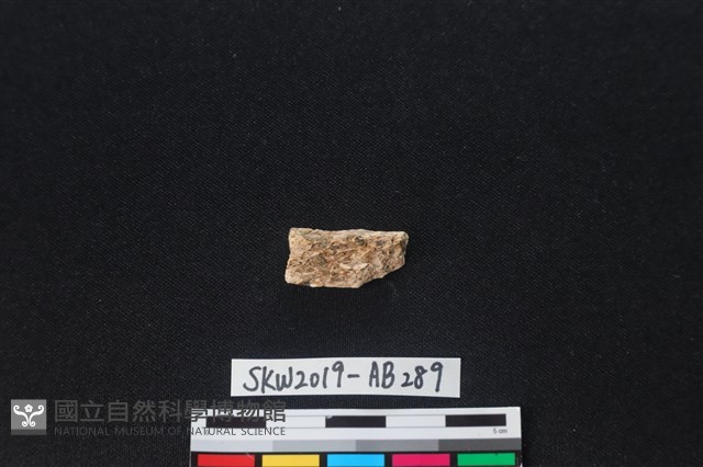 獸骨藏品圖，第2張