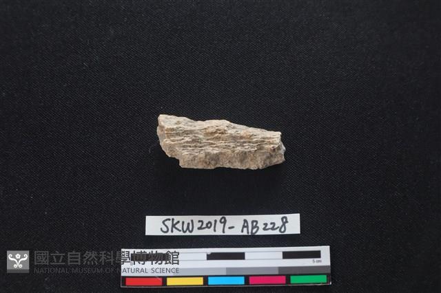 獸骨藏品圖，第2張