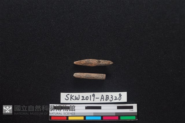 獸骨藏品圖，第2張